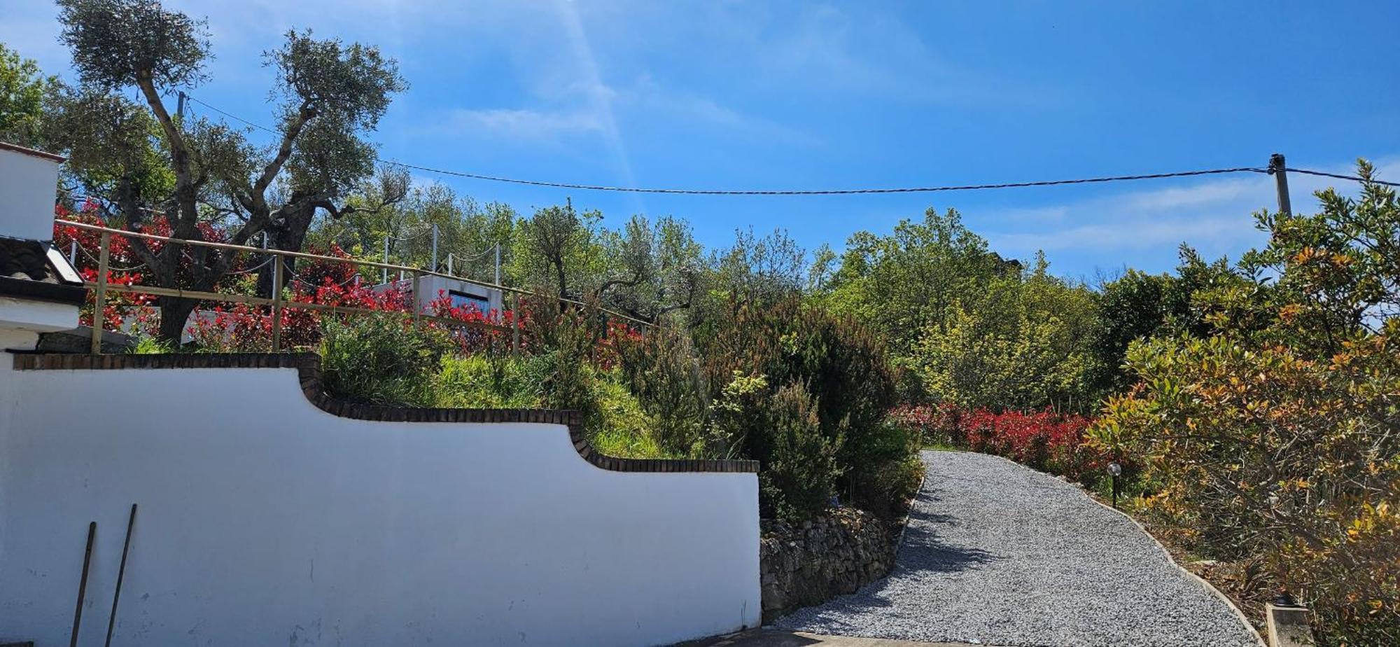 Villa Kiru Vibo Valentia Zewnętrze zdjęcie